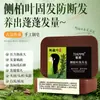 Distribuição de Folhas de Platycladus Orientalis Tianmi Raízes Fortes, Fortalece o Cabelo, Nutre o Cabelo, Protege o Cabelo, Limpa Profundamente, Remove a Caspa, Refresca e Alivia a Coceira Sabonete Shampoo