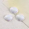 Conchas Eletrodepositadas Coloridas, Acessórios de Resina com Cola Creme, Materiais para Capas de Celular, Colares, Acessórios de Cabelo, Brincos, Acessórios para Joias DIY