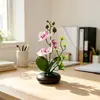 Conjunto de três peças de orquídeas borboleta artificiais em vasos, vasos rasos em miniatura, flores artificiais, plantas em vaso para mesa, decoração para casa e escritório, ornamentos de jardinagem