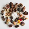 Frete grátis flores secas, frutas secas, cascas de nozes, pinhas decoração DIY feito à mão matérias-primas naturais floresta de Natal lembranças de aromaterapia
