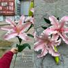 Fábrica de flores de véspera de ano novo 2025 EVA 3 Big Lily Wedding Home Soft Fake Flower Atacado