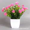 Plantas Simuladas de Venta Caliente Transfronteriza, Plantas Falsas, Plantas Verdes, Decoración para Interiores y Exteriores, Plantas en Maceta de Plástico, Pequeñas Plantas en Maceta de Eucalipto