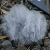 Celebridade da Internet Cauda Pontiaguda Veludo Penas Penas de Peru DIY Brincos Colar Acessórios de Joalheria Pequenas Penas Fabricante Atacado