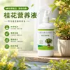 Solução Nutritiva de Osmanthus Pronta para Uso Tipo Spray Direto Ajuste de pH Suplemento de Ferro Anti-Amarelamento Amigo de Iniciantes Cuidado com Osmanthus em Vasos na Varanda