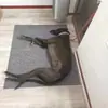 Esterilla para Mascotas, Resistente al Desgaste, Adecuada para Todas las Estaciones, Engrosada y Resistente a las Manchas, Colchoneta Caliente para Dormir para Perros, Previene el Desgarro en Jaulas para Perros, Entrega Directa