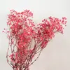 Porta-retrato para flores secas feito à mão DIY caixa de preservação de flor de rosa seca tridimensional oco porta-retrato de alta qualidade com dessecante