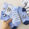 Calcetines para Niños, Algodón Puro, Sin Costuras, Malla Fina, Transpirables, Absorbentes de Sudor, Resistentes a Olores, Versátiles para Primavera y Verano, Lindos Calcetines de Dibujos Animados Pochacco