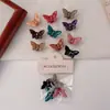 Presilha de Cabelo Colorida Super Delicada de Borboleta para Meninas, Mini Presilha de Cabelo, Grampo de Cabelo de Fada de Flores de Verão, Presilha para Franja Lateral, Acessório de Cabelo