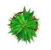 Cachepot de Cerâmica com Suculenta Rattan 10cm x 10cm X 17cm - Wolff