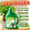 Árvore da Fortuna Solução Nutritiva Fertilizante Fertilizante Especial Plantas Verdes de Interior Plantas em Vasos Folhas Amarelas Folhas Murchas Folhas Caindo Prevenção de Podridão das Raízes Fertilizante para Flores Domésticas