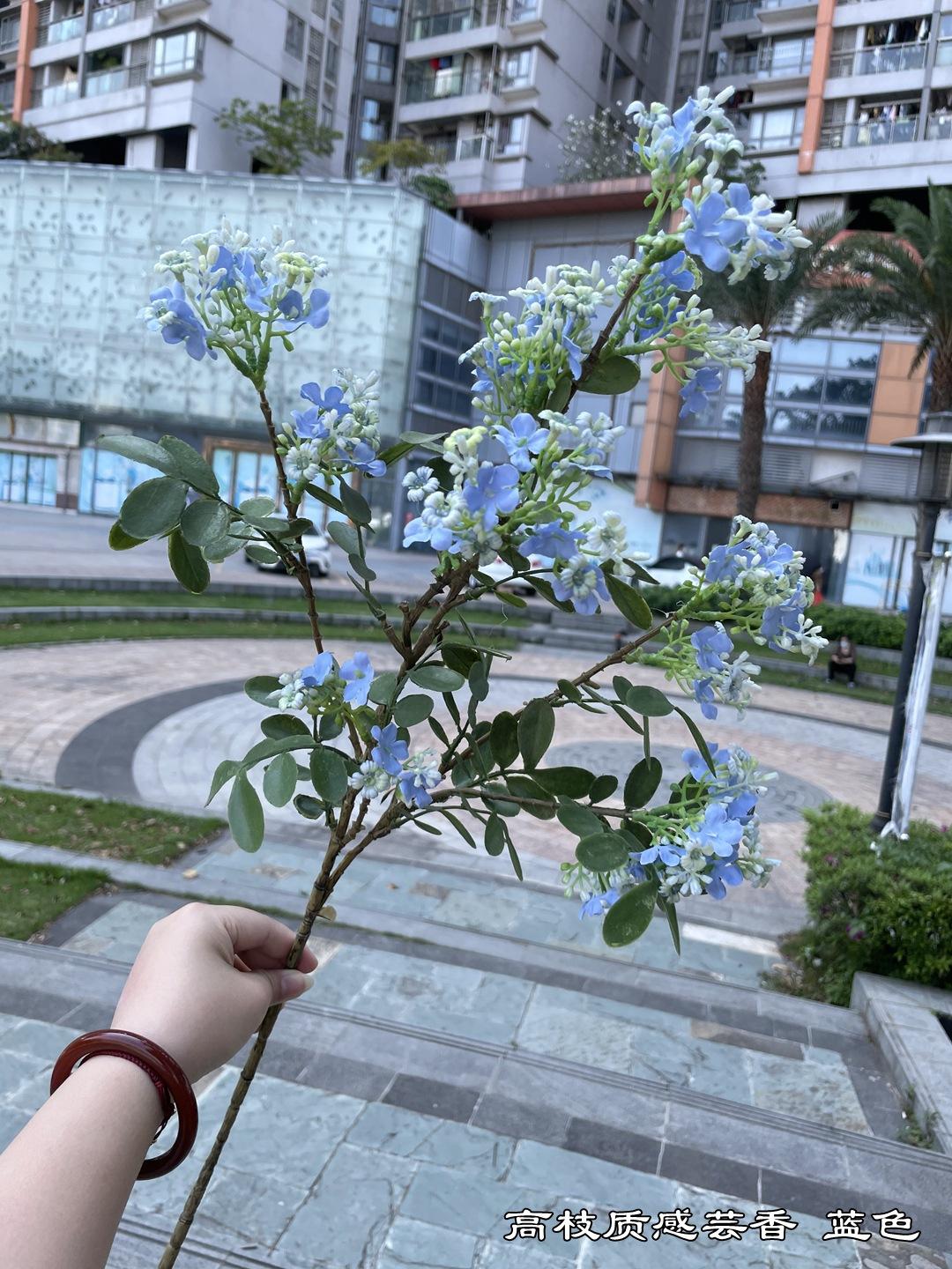 微信图片_20220404153930.jpg