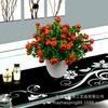 Yiwu Zhao Pantalla al por mayor Fruta Simulada Mini Flor Simulada Ramo de Frutas 5 Tenedores 10 Cabezas Kumquat Decoración Exterior