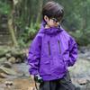 Chaqueta de Primavera y Otoño para Niños 2026 Nuevo Estilo Coreano Holgada Moderna Casual Moda Cortavientos con Tela a Prueba de Tres Elementos para Niños Pequeños