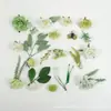 Flores de Seda Artificiales de Hortensia y Rosa, Hierbas Acuáticas, 39 Piezas, Flor Fresca Estilo Mori Transfronterizo, Material para Pasador de Pelo y Ramillete DIY