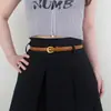 Cinto Feminino Moderno com Toque de Luxo, Adequado para Vestidos e Calças, Fivela de Pino Simples, Estilo Levemente Vintage, Cinto Fino de Couro para Mulheres, Disponível para Atacado
