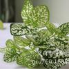 Fábrica atacado simulação planta de plástico flor artificial planta parede material cola sentir folha tartaruga folha traseira folha verde endro