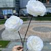 Arranjo Floral Suspenso Branco Puro Casamento Flor Artificial Atacado Hortênsia Branca Cana Pendente Arroz Aspargo Fabricante