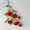Cravo Longo Artificial Flor Falsa Flor Seca Dia das Mães Dia dos Professores Presente Decoração de Interior para Sala de Estar Ornamentos Florais