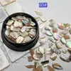 Arte de Uñas Estilo Japonés Piedra de Concha Piezas de Concha de Aurora Natural Abalón Iridiscente Piezas Largas de Concha Decoraciones de Uñas de Moda
