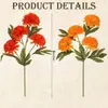 Item Popular Transfronteiriço: Peônia Artificial Única, Crisântemo Bola Original, Folhagem Artificial, Flores Artificiais de Outono em Estoque na Amazon