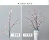 Magnolia Nórdica Rama Larga Flor Seca Ramo Grande De Pie Ramas Secas Naturales Flores Secas Hechas a Mano Gabinete de Entrada con Rejilla Abierta