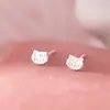 Pendientes de Gato Estrella de Plata de Ley S925 Nalan, Exquisitos, Sencillos y Lindos, Pendientes de Cabeza de Gato Florales de Ins M07765