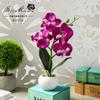 Flores Artificiais Explosão Quatro Cabeças Phalaenopsis Mini Bonsai Planta Verde Artificial Decoração Criativa Flor de Simulação Yiwu Planta em Vaso de Simulação