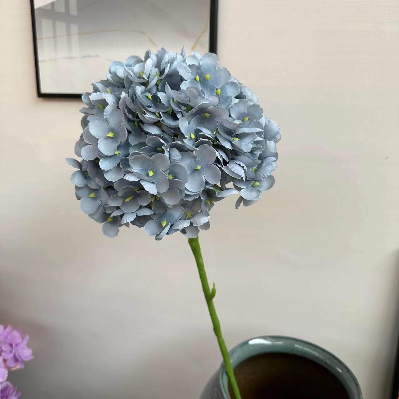 碎花绣球雾霾兰1