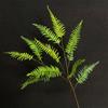 Helecho persa de simulación verde de 3 puntas, planta de simulación, decoración de sala de estar, fondo de pared, accesorios para fotografía de paisaje, plantas verdes