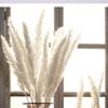 Flor seca de Yunnan atacado Pequeno Juncos Brancos Buquê Amazônico decoração de casamento Pequenos Juncos Pretos buquê de flor seca