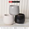 Maceta de Cerámica de Jingdezhen Creativa para Interior Blanco y Negro Simple para Balcón Plantación Árbol del Dinero Planta Verde Maceta de Cerámica