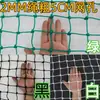 Cerca de campo de futebol, rede de proteção para campo de beisebol, golfe e esqui, rede de polietileno à prova de pássaros, rede para avicultura