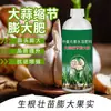 Fertilizante para Crescimento e Aumento de Alho, um Fertilizante Solúvel em Água com Nutrientes Médios, Promove o Crescimento das Raízes, Fortalece as Mudas e Acelera o Crescimento Rápido de Caules e Bulbos de Alho, Aumentando o Rendimento
