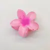 Europa y Estados Unidos clip de flor de huevo transfronterizo clip caliente para el cabello lateral clip de placa trasera para la cabeza clip de tiburón accesorios para el cabello al por mayor