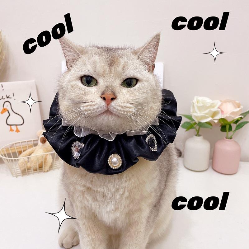 IMG_6505(20230317-225315)_副本