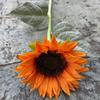 Fabricantes de flores artificiais molhadas em casa comércio exterior sensação amarela hidratante girassol decoração de casamento flores falsas atacado