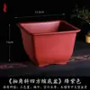 Maceta Cuadrada Creativa Planta Suculenta Árbol de la Fortuna Bonsái Maceta Especial de Jardinería Maceta de Plástico Simple