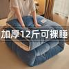 Colcha de Terciopelo de Leche para Invierno, Doble Cara, 5 kg, Colcha de Invierno de Franela Espesa, Cálida para Invierno, Núcleo de Fibra de Soja