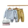 Conjunto de chaqueta de dos piezas para niñas, nueva ropa de otoño para niños de primavera y otoño, sudadera deportiva casual, atuendo deportivo para niños mayores