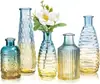 Juego de Jarrones de Vidrio Transparente de Lujo Ligero con un Toque de Alta Gama para Arreglos Florales, Jarrón de Vidrio Hidropónico Decoración de Escritorio