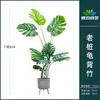 Decoración de bambú artificial paisaje bambú maceta grande ventana bienvenida sala de estar maceta pasillo pared de fondo planta verde de plástico parabrisas cifrado