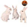 Adornos de animales de conejo blanco pequeño de FRP para jardín al aire libre, escultura de animal de FRP en stock