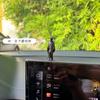 Viejos amigos de Jianghu antiguo caballeresco modelo de muñeca en miniatura marea juego hecho a mano micro-paisaje rocalla bonsái paisajismo pequeños adornos