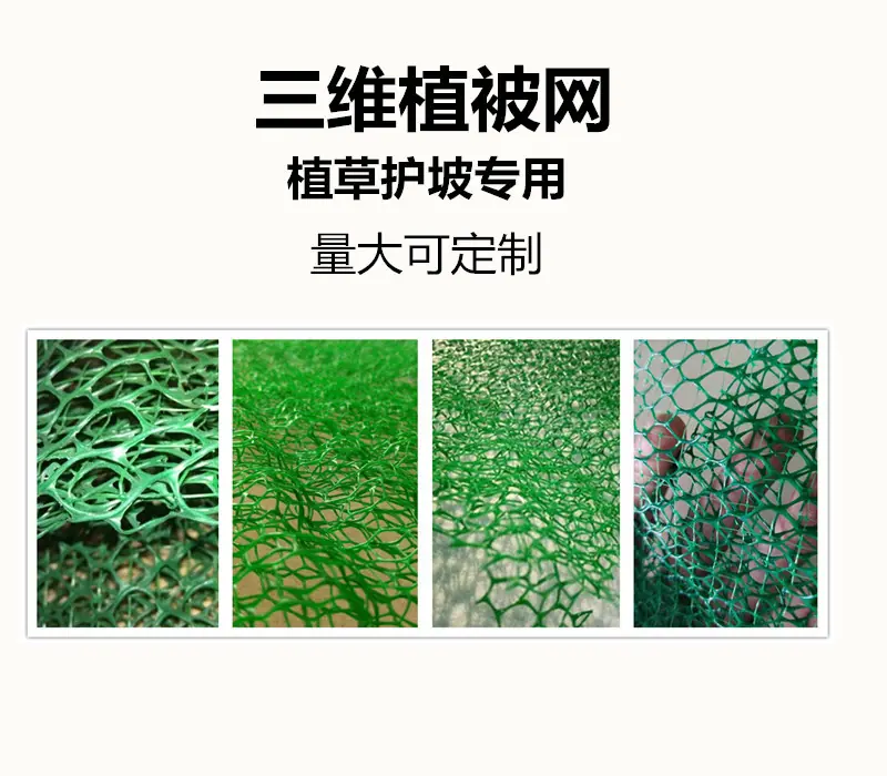 三维植被网11.jpg