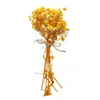 Flores Secas Coloridas DIY Kit de Materiais para Flores Eternas Gipsofila Artesanal DIY Pulseira Colar Acessórios de Joias Materiais