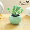 Flor Falsa Mini Suculenta Bonsai Moda Criativa Pequenos Ornamentos Jinhua Fábrica de Flores Artificiais Fornecimento Direto Planta Vaso