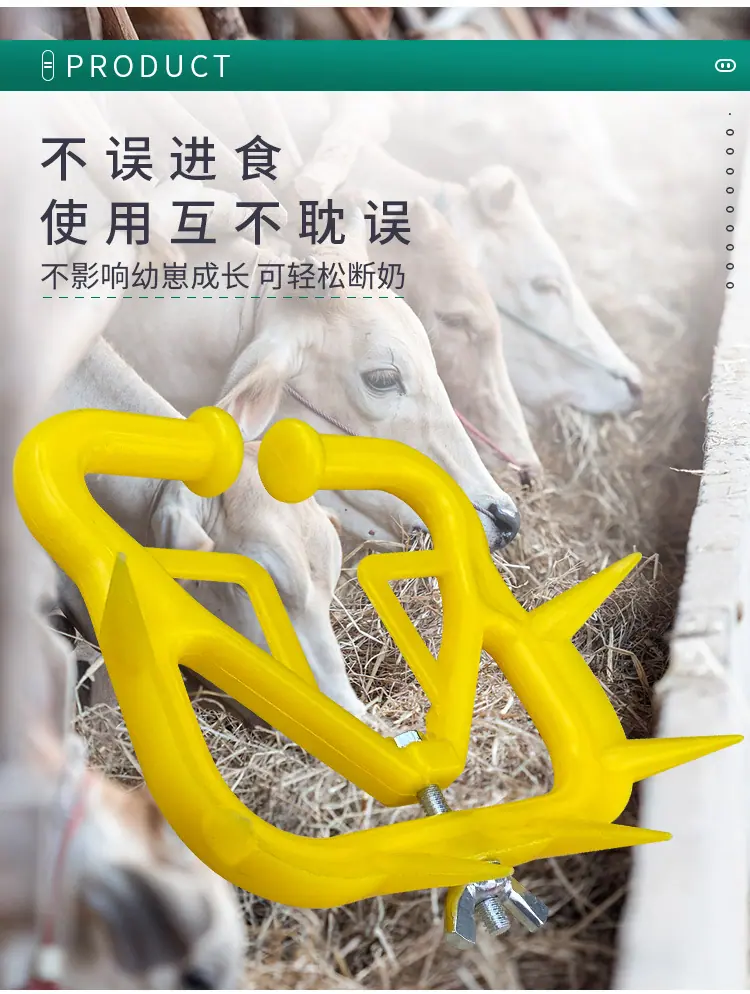 牛鼻刺_05.jpg