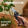 Tijeras de Podar Florales Deli Dl-Yl0001 Acero de Filo Recto de 9 Pulgadas Tijeras para Árboles Frutales Tijeras para Podar Ramas de Flores Herramienta de Podar para Jardinería