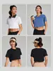 Camiseta Blanca Corta de Algodón para Mujer, Estilo Nuevo de Verano, Holgada y Versátil, Top Deportivo Casual Transpirable y Cómodo
