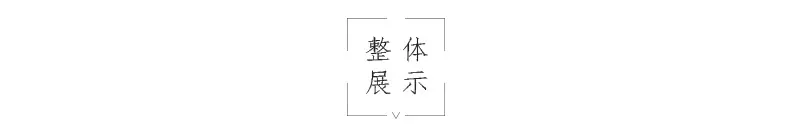 整体新